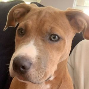 Meet your Posher, Luciana